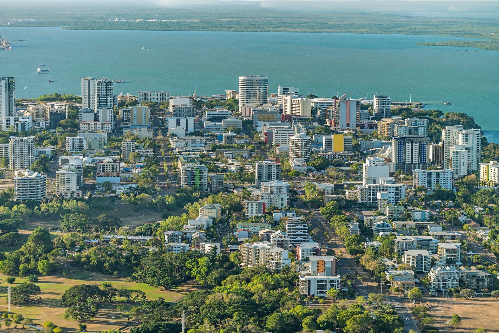 Darwin tidy team