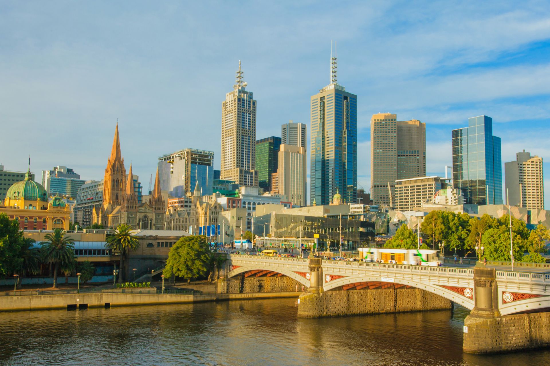 Tidy team at melbourne