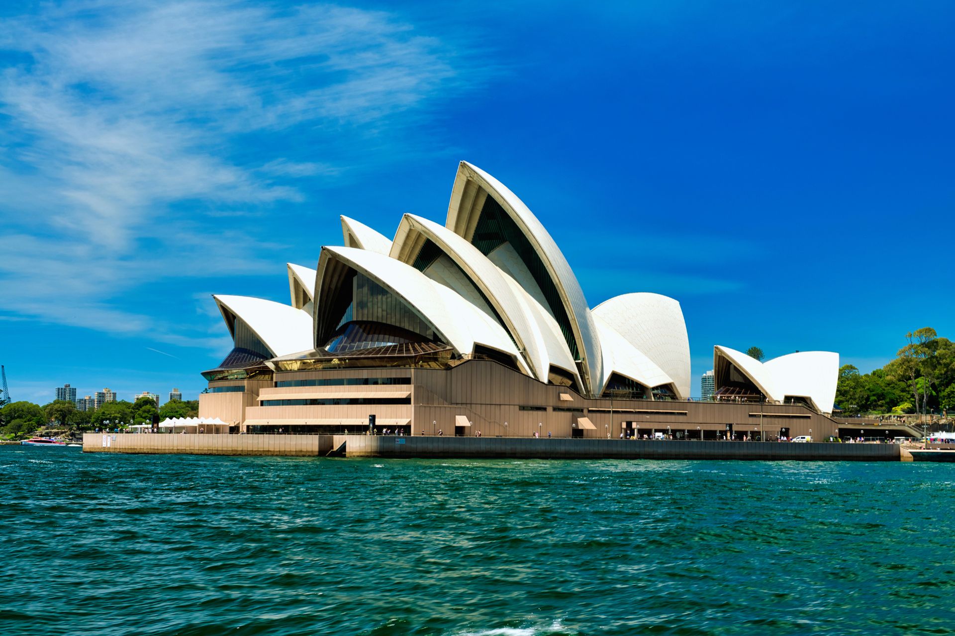 tidy team sydney